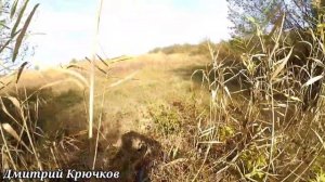 ОХОТА на ЗАЙЦА КУБАНЬ Станица Владимировская сады. Золотая Осень. Разделка зайца. Класс!