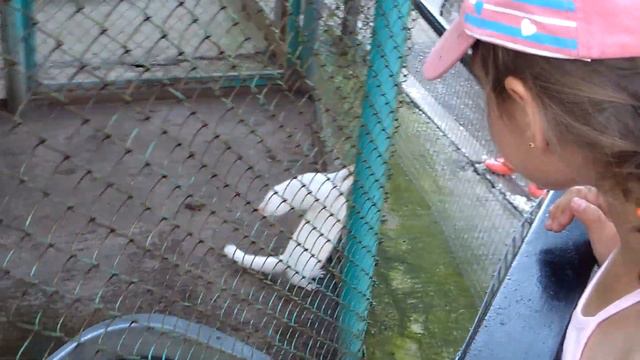 ЗООПАРК ZOO 1 ЧАСТЬ смотреть онлайн