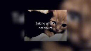 tv girl - taking what’s not yours (original sampled intro)