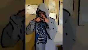 бит бокс на гармошке.mp4