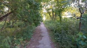 Гайсин Куна Винницкая область