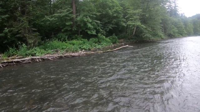 Рыбалка в Приморье. Река Журавлевка. Хариус, ленок. 30.06 - 04.07.2021 г. День 3. смотреть онлайн