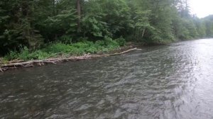 Рыбалка в Приморье. Река Журавлевка. Хариус, ленок. 30.06 - 04.07.2021 г. День 3.