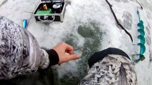ПЛОТВА И КРАСНОПЕРКА НА ГЛУБИНЕ 25-30СМ!!!ЛОВЛЯ НА МОРМЫШКУ!!!
