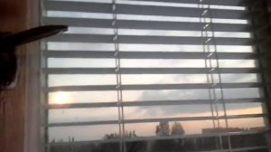 Жалюзи внутри окна