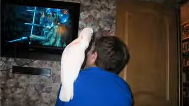 Видео про ТВОЮ МАТЬ и как ты к ней относишься I ГРУСТНОЕ видео смотреть онлайн