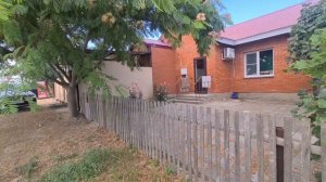 Краснодарский край. Пос. Ильич красив в любое время года. Сейчас дельфины подплывают прямо к берегу