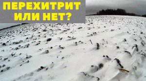 ПОПАЛСЯ КОСОЙ!!!