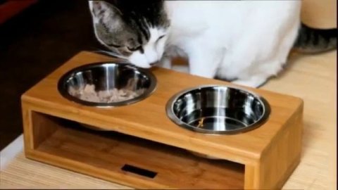 Мебельное производство: Мебель для животных