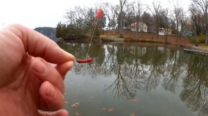 Realistic Fishing with Earthworms (Artificial) - Gulp Worms Catch Fish