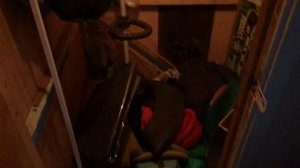 Купил вагончик на дачу и сделал бюджетный ремонт из подручных материалов