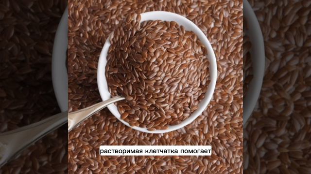 Семя льна чем полезно. Как заваривать семена льна