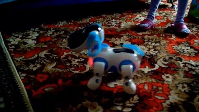 Собака рассказывает сказку про репку смотреть онлайн