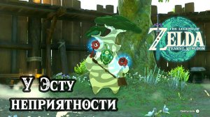 У Эсту неприятности. The Legend of Zelda Tears of the Kingdom. Hestu's Concerns. Nintendo Switch