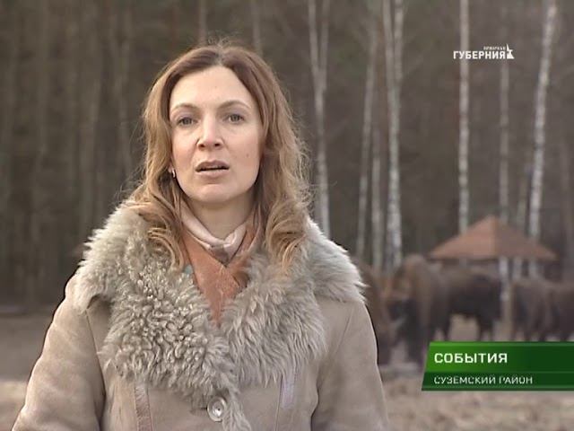 11 января в России отмечается день заповедников и национальных парков  11 01 18