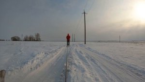 Павлодар / Сосновый бор / Природа Павлодара