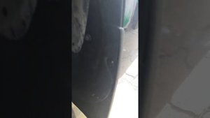 Замена заднего левого брызговика и защиты бампера