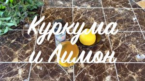 Напиток долголетия и молодости | КУРКУМА и ЛИМОН