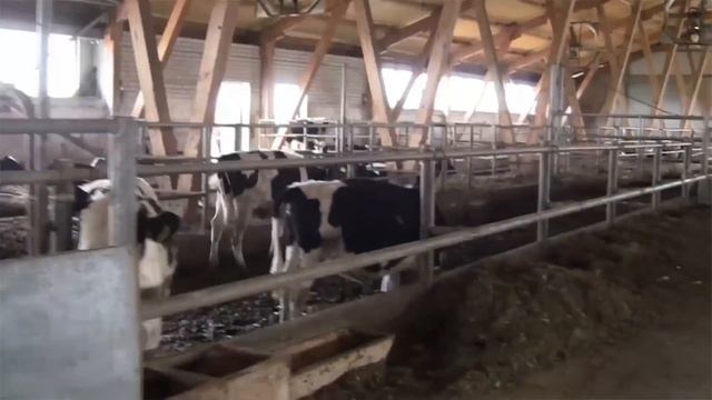 Street Spirit Documentary Trailer (2017) смотреть онлайн