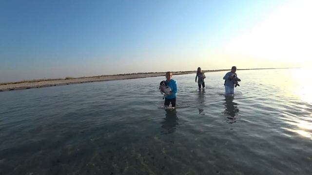 Лазурное/ Остров Джарылгач./Дельфины. Рыбалка на кефаль/Бархатный сезон смотреть онлайн