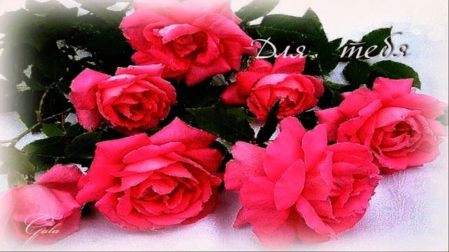 ЮЛЯ , С ДНЁМ РОЖДЕНИЯ ! ДМИТРИЙ ! СОФЬЯ ! ГЛЕБ !..... смотреть онлайн