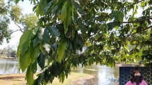 Брошенная жена взяла бродягу-цыгана и пришла с ним на свадьбу к бывшему мужу и его любовнице…