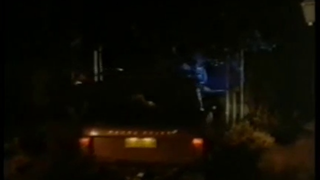 Terminator Woman 1993 / ЖЕНА ТЕРМИНАТОР ЧАСТ 1 смотреть онлайн