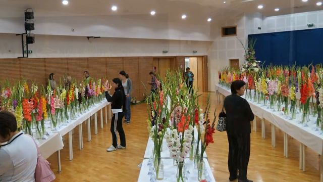 Výstava gladiol Bytča 2012 Foto prezentácia смотреть онлайн