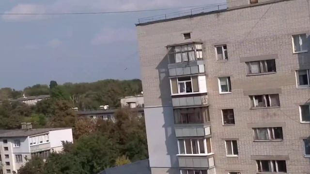 Обзор подъезда после ремонта смотреть онлайн