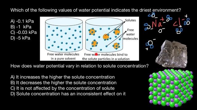 Water Potential Quiz Questions -3