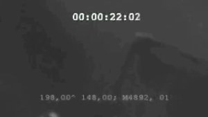ЗАМЕЧЕНЫ СТРАННЫЕ ПОДВОДНЫЕ СУЩЕСТВА ДЛИННОЙ 30 МЕТРОВ! НИНГЕНЫ: ГУМАНОИДЫ ИЗ АНТАРКТИЧЕСКИХ ВОД