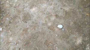 Поиск монет без металлоискателя 55