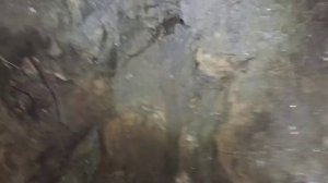 Железное поле, продолжение копа.Наткнулись на чугунный клондайк....mp4