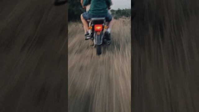 ОДИНОКОЕ ДЕРЕВО | Наша ежегодная семейная традиция 🌳☀️ смотреть онлайн