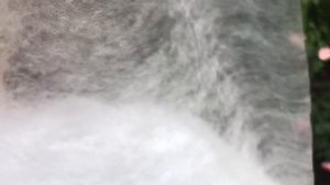 Розы. Как укрыть Розы на зимовку. В помощь новичкам...