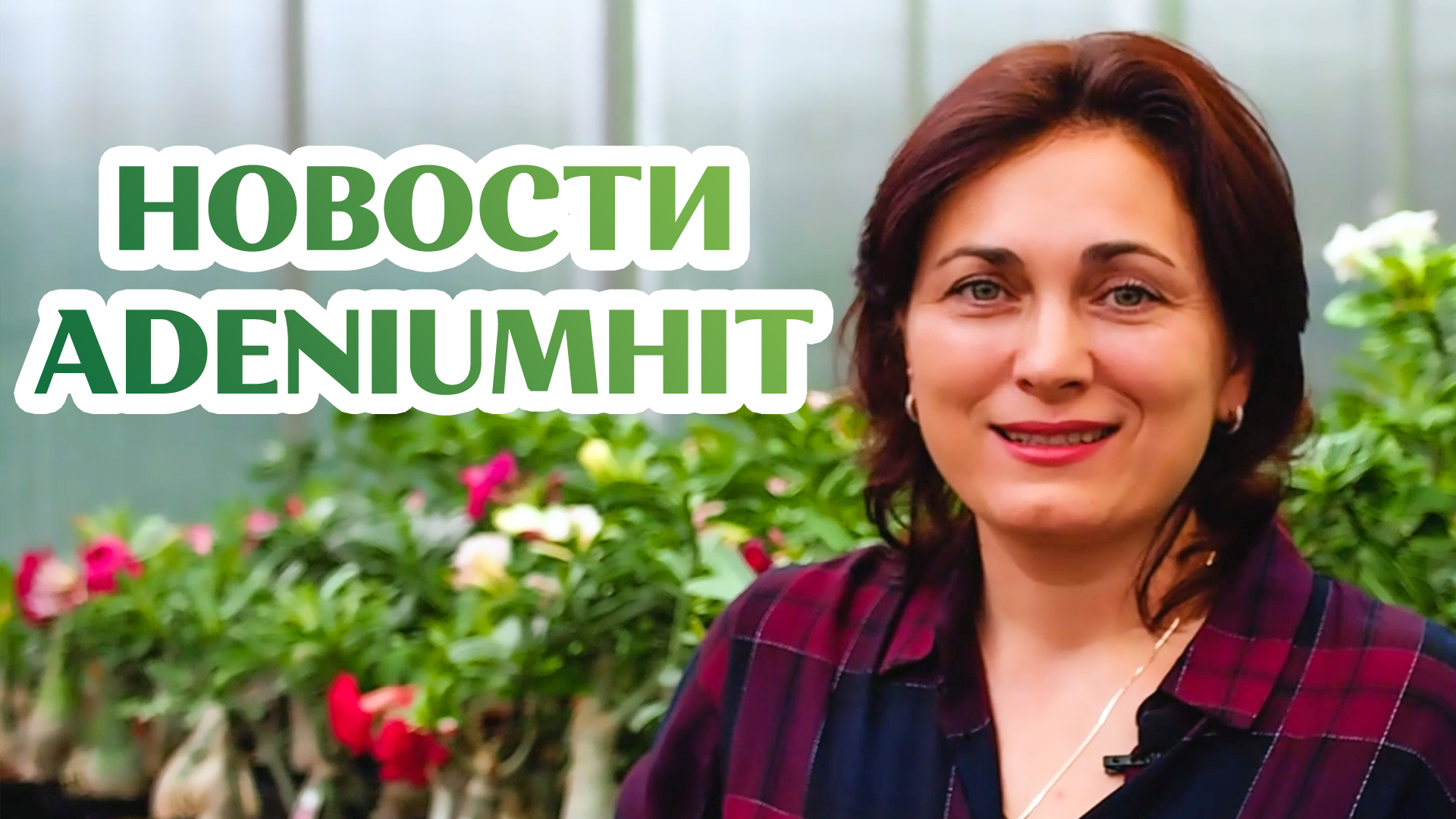 Новости AdeniumHIT