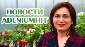 Новости AdeniumHIT