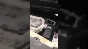 Хонда Пилот, замена распредвалов и ГБЦ (результат)