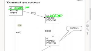 Linux_FreeBSD. Уровень «На старт». Эффективная работа в командной строке.