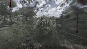 SCUM - вот каким он должен быть )))