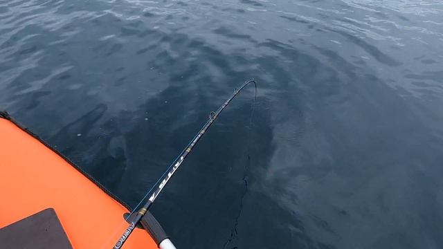 Сколько нужно рыбы? Сходил за камбалой. смотреть онлайн