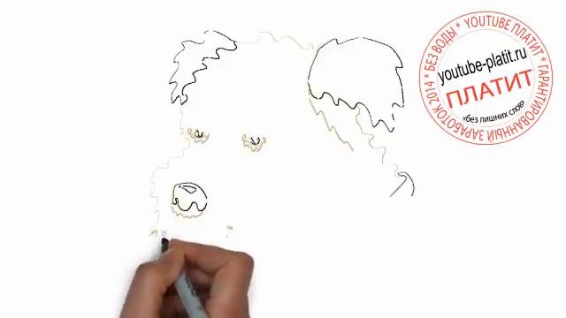 Нарисованные собаки картинки Как нарисовать карадашом морду собаки смотреть онлайн