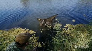 Рыбалка в Ростовской области. Поймали сома Вова вываживает я на подхвате!