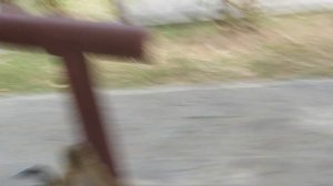 Тайланд. Пхукет. Обезьяны воруют очки. Гора обезьян. Monkey Hill