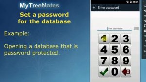 Set a password for the database