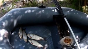 Сладкий запах ванилина . Для Язя. Три часа рыбалки.