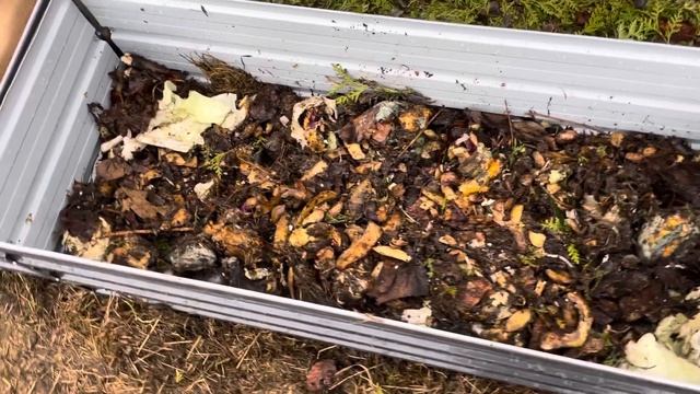 Металлические грядки. Оцинкованные грядки.Чем заполнить?