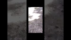 Велобездорожье часть 1