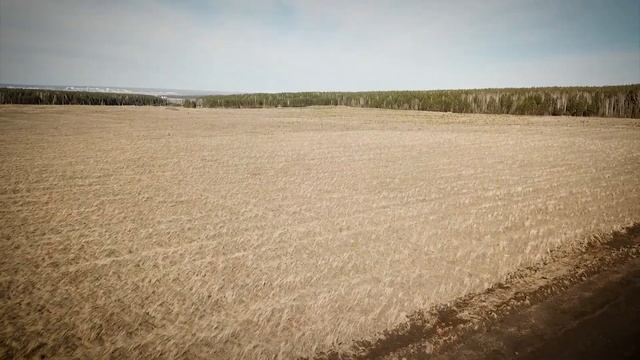 Земля коммерческого назначения