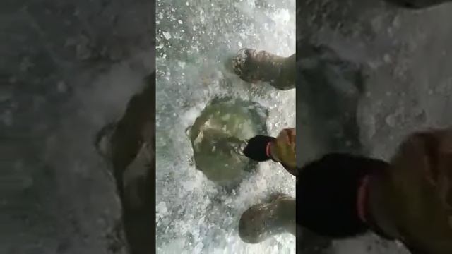 Вот так надо ловить рыбу...??? смотреть онлайн